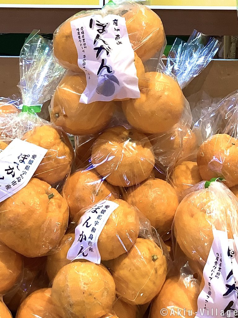 宇和島産柑橘【ぽんかん】🍊